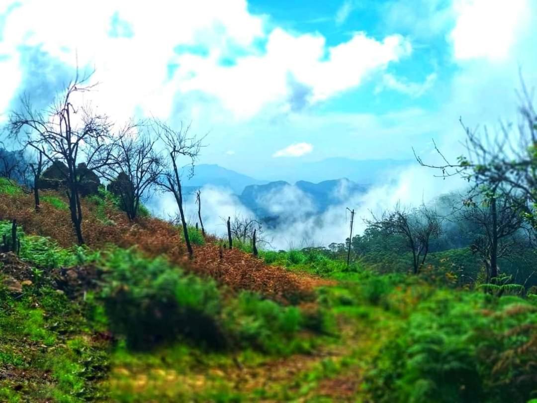 The Place ...The Experience Kodaikanal Exteriér fotografie